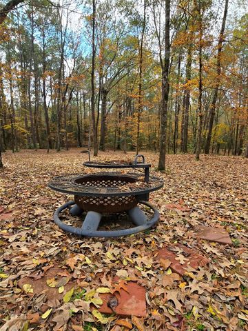 351 Dejardo Lane, Coldspring, TX 77331