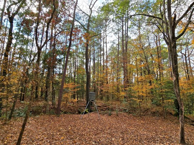 351 Dejardo Lane, Coldspring, TX 77331