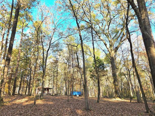 351 Dejardo Lane, Coldspring, TX 77331