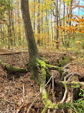 351 Dejardo Lane, Coldspring, TX 77331