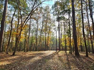 351 Dejardo Lane, Coldspring, TX 77331