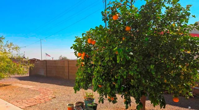 10326 S Linda Ln, Wellton, AZ 85356