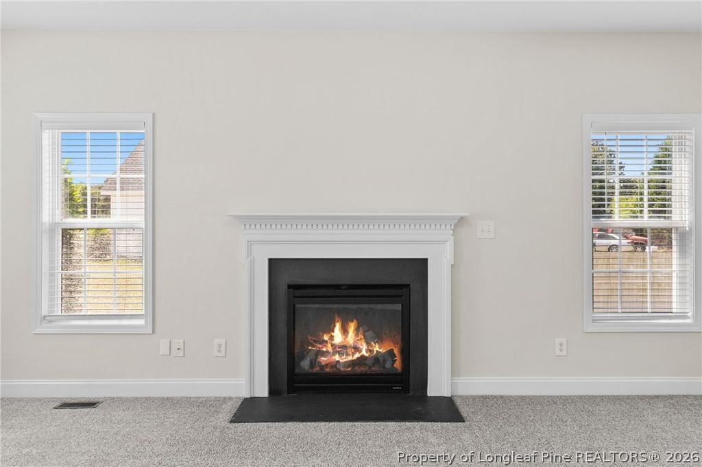 4420 Timber Grove Drive, Hope Mills, NC 28348 — photo 11