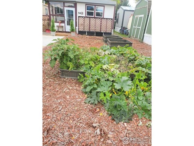 221 W 57th St 58B, Loveland, CO 80538