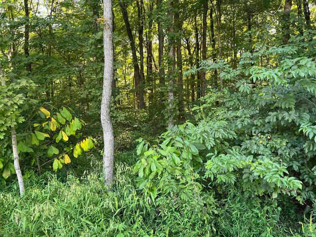 1207 Crones Hill, Lanesville, IN 47136