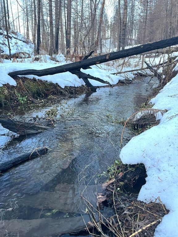 Lot 11 Rail Canyon Rd, Springdale, WA 99173 photo 11