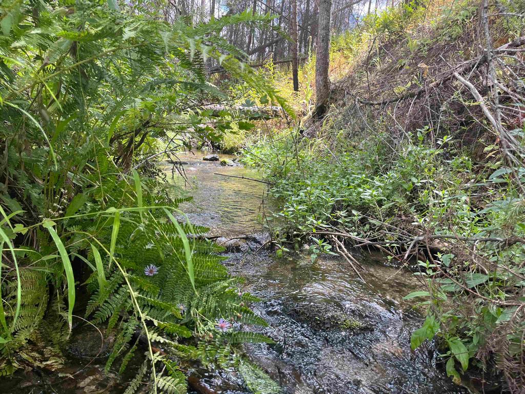 Lot 11 Rail Canyon Rd, Springdale, WA 99173 photo 5