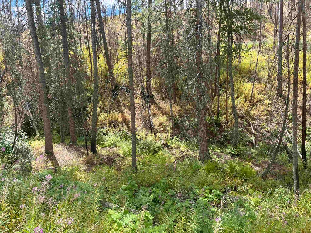 Lot 11 Rail Canyon Rd, Springdale, WA 99173 photo 6
