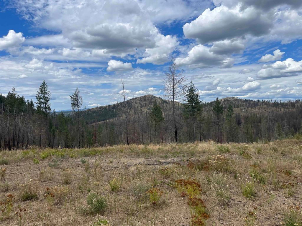 Lot 11 Rail Canyon Rd, Springdale, WA 99173 photo 9