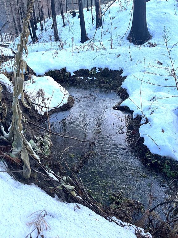 Lot 11 Rail Canyon Rd, Springdale, WA 99173 photo 10
