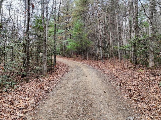 161 Nottely Woods Road E, Blairsville, GA 30512