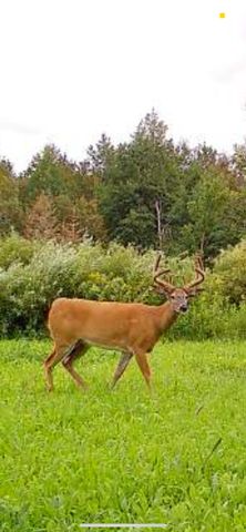 34473 County Highway 143, Bluffton, MN 56518