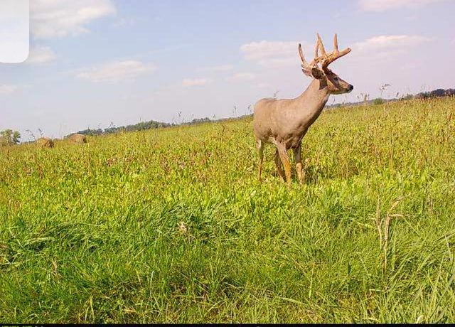 34473 County Highway 143, Bluffton, MN 56518