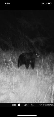 34473 County Highway 143, Bluffton, MN 56518