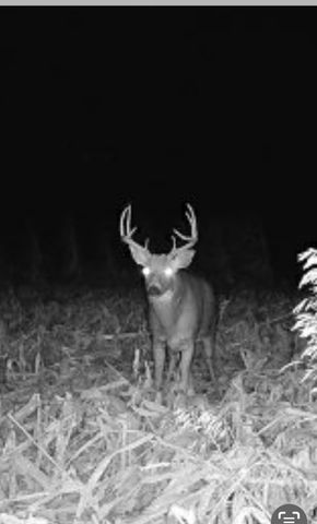 34473 County Highway 143, Bluffton, MN 56518