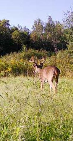 34473 County Highway 143, Bluffton, MN 56518