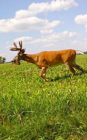 34473 County Highway 143, Bluffton, MN 56518