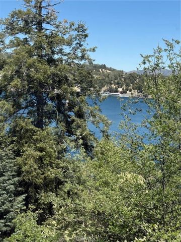 28838 Palisades, Lake Arrowhead, CA 92352