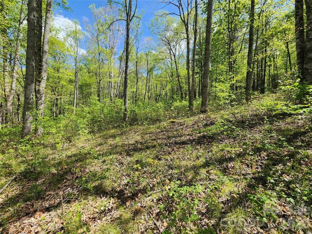 165 Wagon Wheel Way 2, Canton, NC 28716