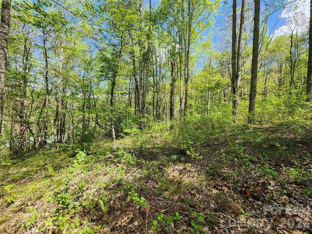 165 Wagon Wheel Way 2, Canton, NC 28716