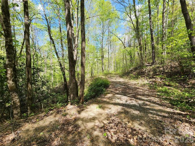 165 Wagon Wheel Way 2, Canton, NC 28716