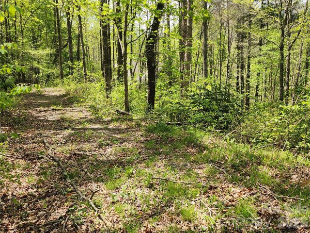 165 Wagon Wheel Way 2, Canton, NC 28716