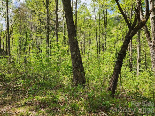 165 Wagon Wheel Way 2, Canton, NC 28716