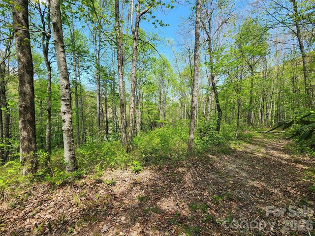 165 Wagon Wheel Way 2, Canton, NC 28716