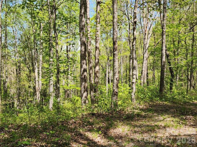 165 Wagon Wheel Way 2, Canton, NC 28716
