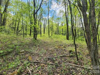 165 Wagon Wheel Way 2, Canton, NC 28716