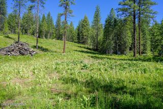 NKA Meadowland Drive, Blanchard, ID 83804