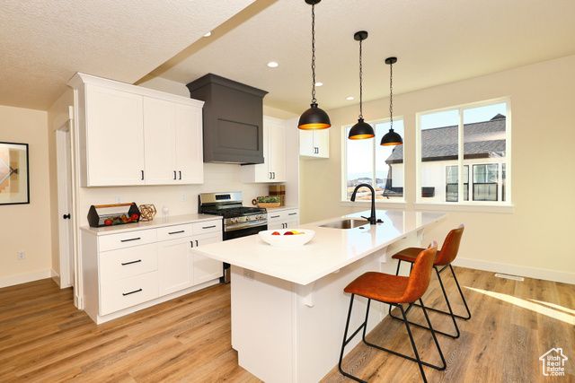 805 S GREENWAY DR, Springville, UT 84663