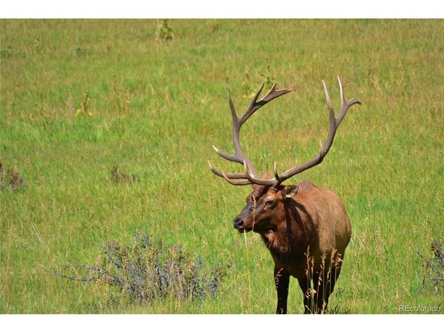 25997 Mountain View Rd, Golden, CO 80226