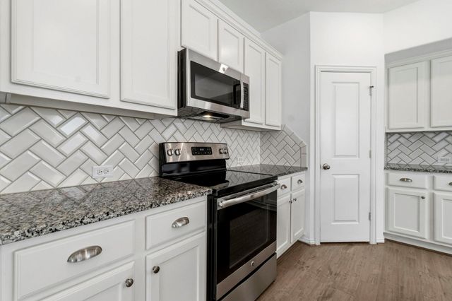 141 Emory Birch Drive, Montgomery, TX 77316