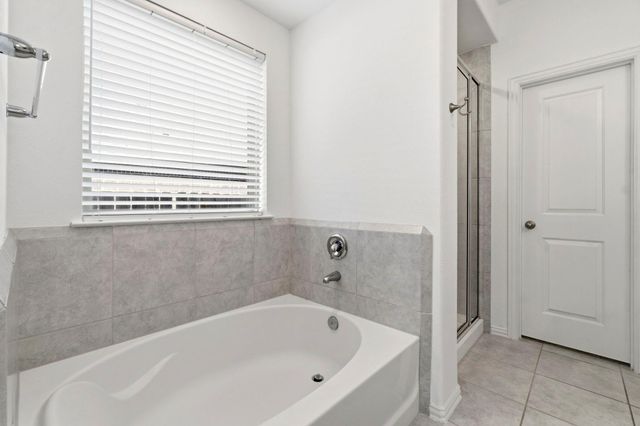 141 Emory Birch Drive, Montgomery, TX 77316