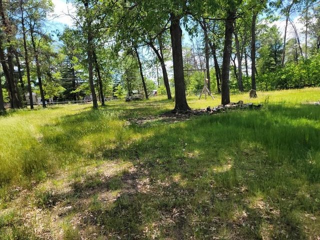 1694 Possum Track Road Road, Alger, MI 48610