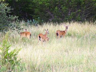 740 CR 206, Lampasas, TX 76550