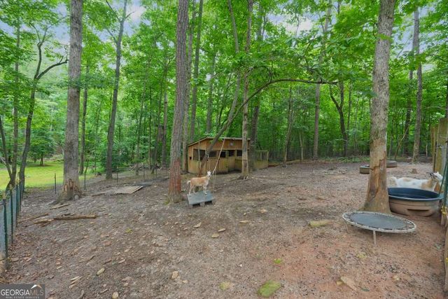 105 Shalea Lane, Ball Ground, GA 30107