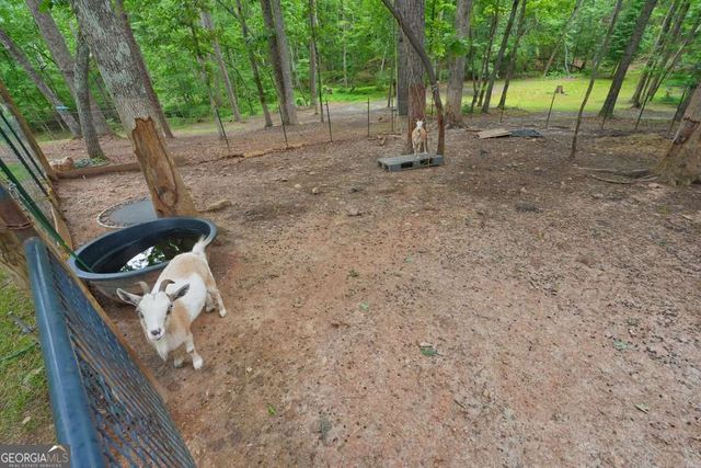 105 Shalea Lane, Ball Ground, GA 30107