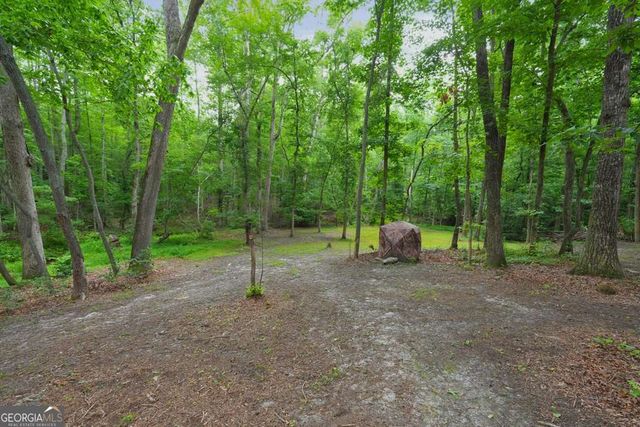 105 Shalea Lane, Ball Ground, GA 30107