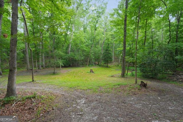 105 Shalea Lane, Ball Ground, GA 30107