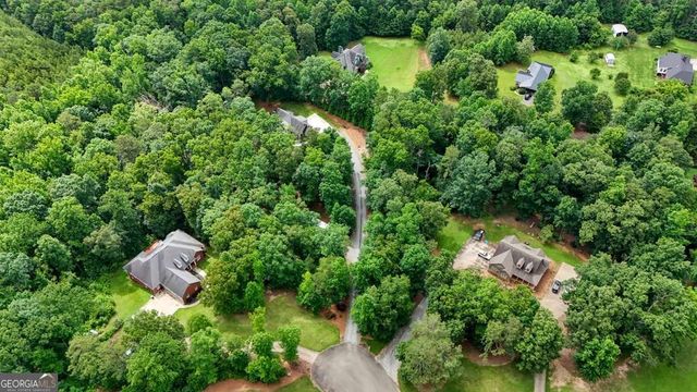 105 Shalea Lane, Ball Ground, GA 30107