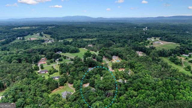 105 Shalea Lane, Ball Ground, GA 30107