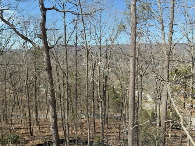3561 Knollwood Hill Lot 1 Drive, Chattanooga, TN 37415