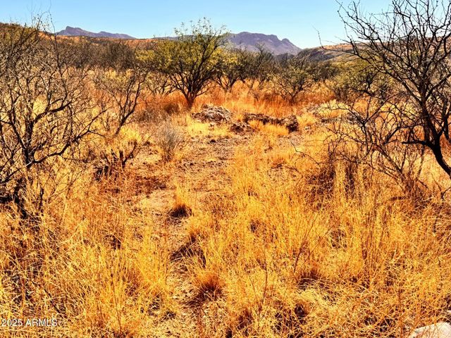 773 AVENIDA BEATRIZ -- 8, Rio Rico, AZ 85648