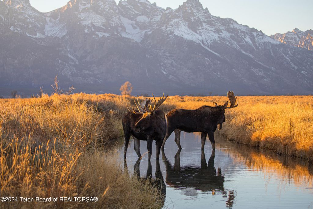 9795 N MAIN Street, Kelly, WY 83011 photo 19