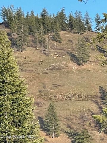 1010 Mc Quade Gulch Dr, Clark Fork, ID 83811