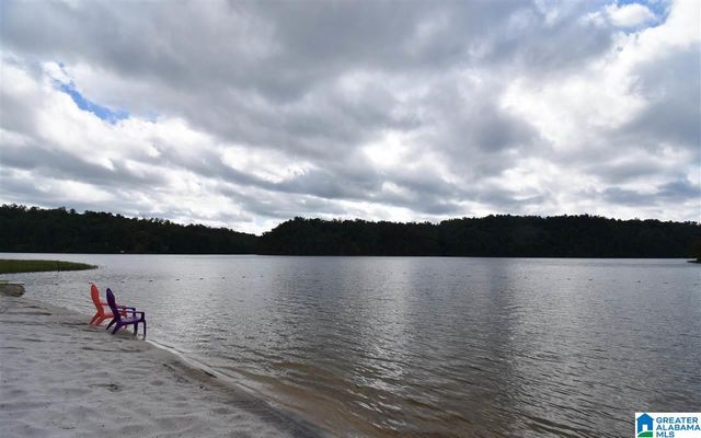 0 MALLARD POINT, Warrior, AL 35180