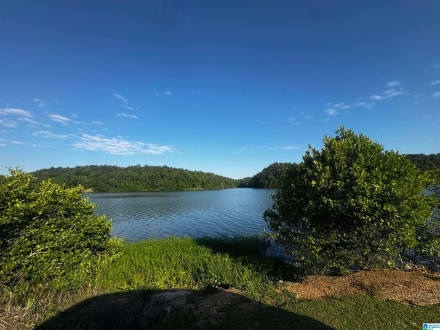 0 MALLARD POINT, Warrior, AL 35180