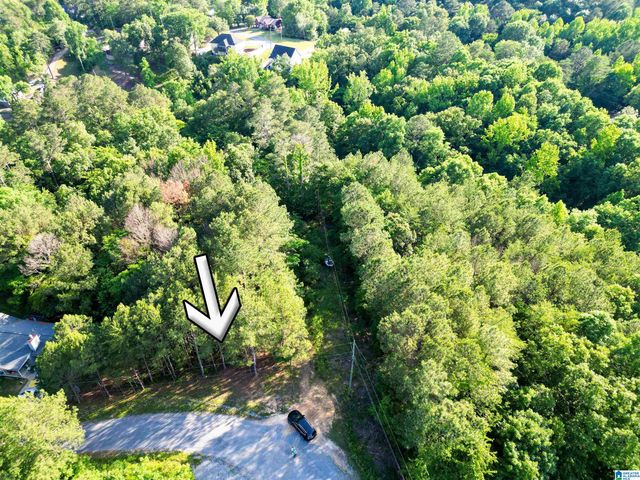 0 MALLARD POINT, Warrior, AL 35180